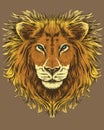 Illustration of a lion
