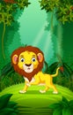 Lion in the clear and green forest