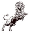 Lion Attacking Illustration