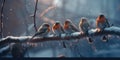 Birds on a frosty branch