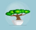 Illustration of little bonsai tree in bowl flat design