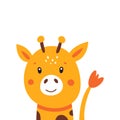 Illustration of a little cute giraffe on a white background. Vector illustration Royalty Free Stock Photo