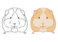 Illustration of little cute guinea pig on white background. Hand drawn vector art of small cavy good for coloring for children.