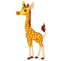Illustration of little giraffe calf
