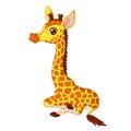 Illustration of little giraffe calf sitting Royalty Free Stock Photo