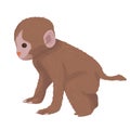 Illustration of a little monkey isolated on white background. chimpanzee. toque. wildlife and zoos. tropical animals.