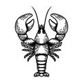 Illustration of lobster. Design element for poster, card, banner, emblem, sign. Royalty Free Stock Photo