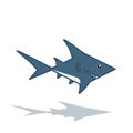 Shark logo design Royalty Free Stock Photo