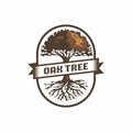 Agricultural oak tree vintage logo emblem with banner illustration Royalty Free Stock Photo