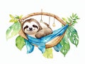 Illustration for a logo or t-shirt in watercolor of a charming sloth lounging in a hammock, isolated on a white background.