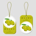 Illustration of logo for the theme yellow olives