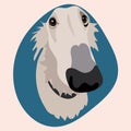 Illustration of a long hound greyhound on a blue background. afghan hound, a Russian greyhound. White dog, portrait of a Royalty Free Stock Photo