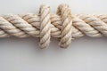 A long white rope with two ends, one end broken off, isolated on a solid background. the cut end of the cable is visible, showing Royalty Free Stock Photo