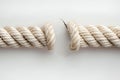 A long white rope with two ends, one end broken off, isolated on a solid background. the cut end of the cable is visible, sho Royalty Free Stock Photo