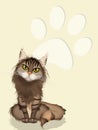 Illustration of longhair cat Royalty Free Stock Photo