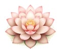 Illustration of a lotus flower image in pink and green, inspired by serene and peaceful landscapes and meditation. Generative AI