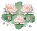 Illustration of a lotus flower image in pink and green, inspired by serene and peaceful landscapes and meditation. Generative AI