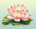 Illustration of a lotus flower image in pink and green, inspired by serene and peaceful landscapes and meditation. Generative AI