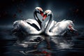 Love swans high quality, creative digital illustration, abstract, love