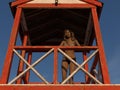 Illustration of a lovely woman looking down from a lifeguard tower in early morning light