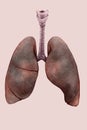 Illustration of the lungs of smoker Royalty Free Stock Photo