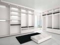 Illustration of Luxurious white wardrobe in a modern style
