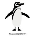 Illustration with magellanic penguin. Cute cartoon character. Australian bird