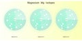 Illustration of magnesium isotopes atomic structure