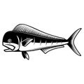 Illustration of mahi mahi fish. Design element for poster card, logo, emblem, sign. Royalty Free Stock Photo