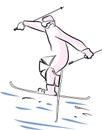 Superpipe skier.