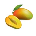 mango, illustration, isolated, white background, fruit Royalty Free Stock Photo