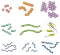 Illustration of many types of bacteria