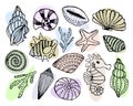 illustration on the marine theme, a set of hand-drawn seashells, starfish, seahorses on a white background Royalty Free Stock Photo