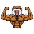 Mascot muscular bulldog a very strong