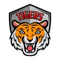 Mascot of orange white tiger`s head on shield background Royalty Free Stock Photo