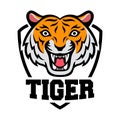 Mascot of orange white tiger`s head on shield background Royalty Free Stock Photo