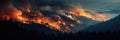 A panorama of a huge forest fire burning trees during the evening Royalty Free Stock Photo