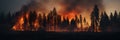 A panorama of a huge forest fire burning trees during the evening