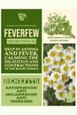 medicinal herbs benefits - herbalist advise - Feverfew