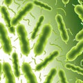 Illustration of microscopic bacteria cells Royalty Free Stock Photo