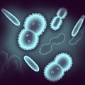 Illustration of microscopic bacteria cells Royalty Free Stock Photo