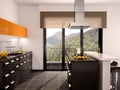 Illustration of modern black and orange kitchen interior with a large window