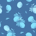 Illustration of monochrome lemon fruits on a branch with leaves isolated on a blue background. Pencil drawing seamless pattern.