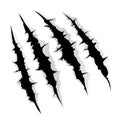 Claws scratches on white background design vector illustration Royalty Free Stock Photo