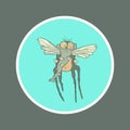 Illustration monster fly with long legs, wings and