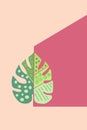 The illustration of monstera leave. Retro style artwork.