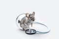 illustration of mouse with stethoscope on transparent white background, Generative ai Royalty Free Stock Photo
