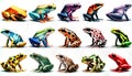 Illustration of colorful poisonous frogs on a white background. Set of different aligned frogs. Generative Ai