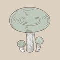 Illustration of a mushroom drawing