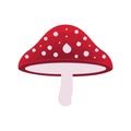 Illustration mushroom symbolizing autumn decoration